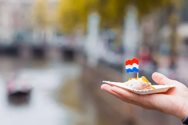 Вкусная свежая сельдь с луком и нидерландским флагом на фоне канала в Амстердаме. Традиционная голландская еда — стоковое фото
