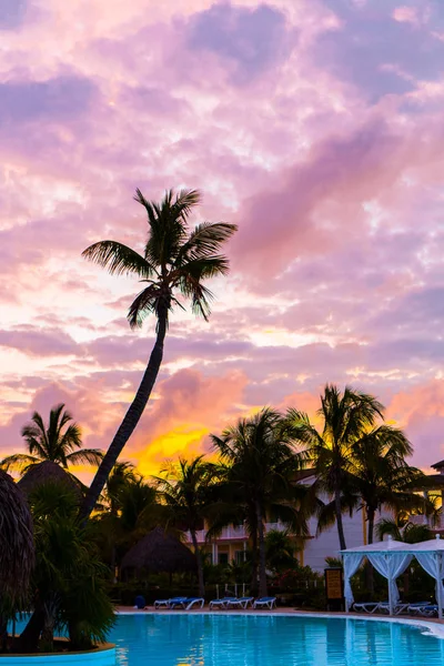 Blu rosa e rosso tramonto sul mare spiaggia con silhouette palma — Foto Stock