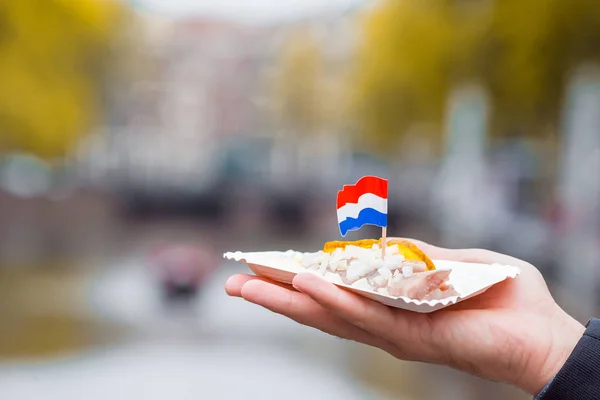 Aringa fresca con cipolla e bandiera dei Paesi Bassi sullo sfondo del canale dell'acqua ad Amsterdam. Prodotti alimentari tradizionali olandesi — Foto Stock