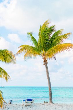 Pastoral tropikal plaj beyaz kum, turkuaz okyanus su ve büyük palmiye ağaçları ile