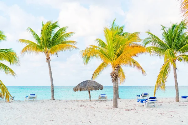 Ідилічний тропічний пляж з білим піском, бірюзовою океанічною водою та великими пальмами — стокове фото
