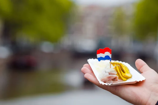 Fresh herring with onion and netherland flag in male hands closeup. Traditional dutch food