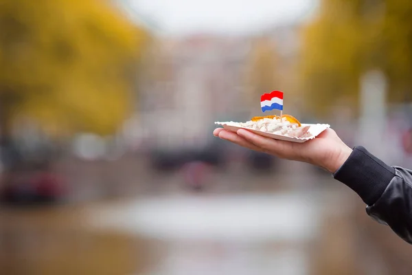 Amsterdam 'daki su kanalı arka planında soğan ve Hollanda bayraklı lezzetli bir ringa balığı. Geleneksel Hollanda yemekleri — Stok fotoğraf