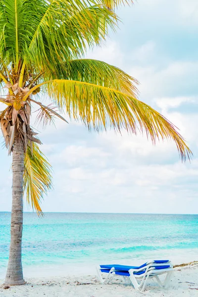 Playa tropical idílica con arena blanca, agua de mar turquesa y grandes palmeras — Foto de Stock