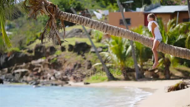 Aranyos kislány ül a pálmafa alatt nyaralás trópusi tengerparton hátulnézete — Stock videók