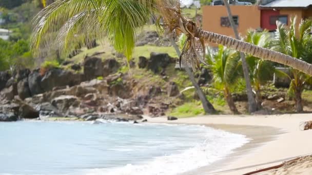 Idylická tropická pláž Carlisle Bay s bílým pískem, tyrkysovým oceánem a modrou oblohou na ostrově Antigua v Karibiku — Stock video