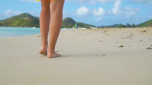 Close up piedi femminili camminare a piedi nudi sulla riva del mare — Video Stock