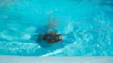 Portre küçük kız Açık Yüzme havuzunda eğleniyor. Tatil zevk çocuk