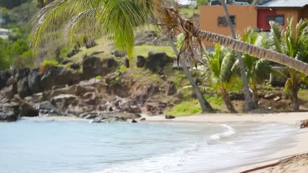Idilli trópusi Carlisle öböl strand fehér homokkal, türkiz óceán és kék ég Antigua sziget Karib-térségben — Stock videók