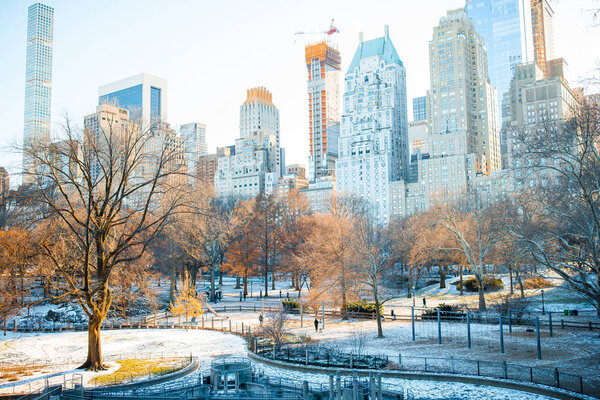 Central Park in winter, New York City, USA