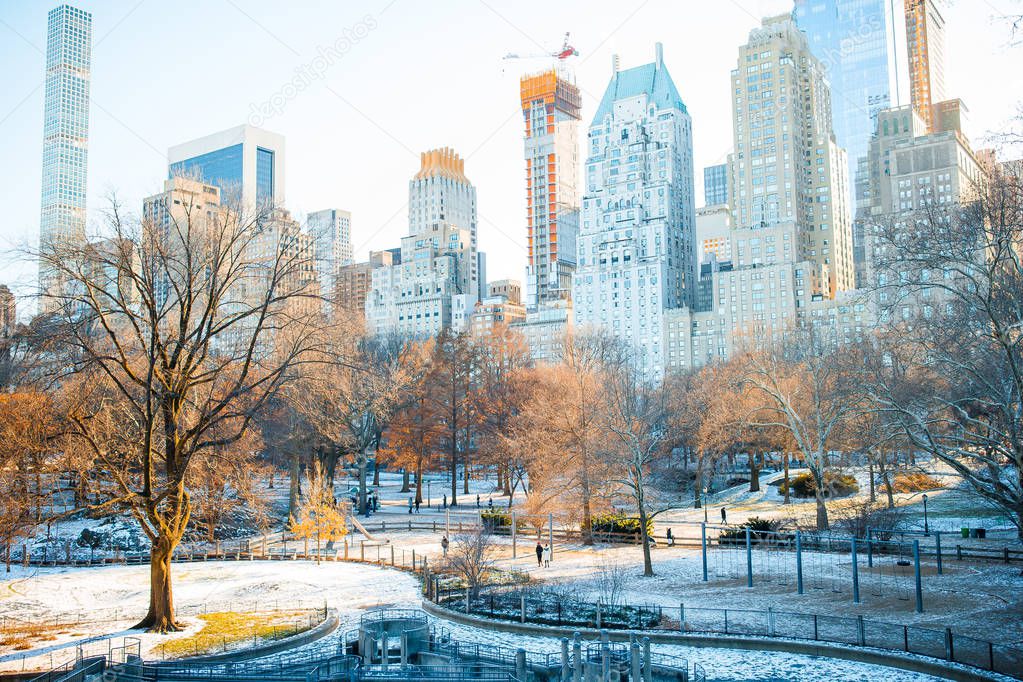 Beautiful Central Park in New York City