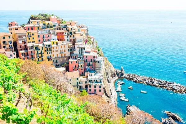 Incrível aldeia de Manarola na reserva Cinque Terre. Região da Ligúria da Itália . — Fotografia de Stock
