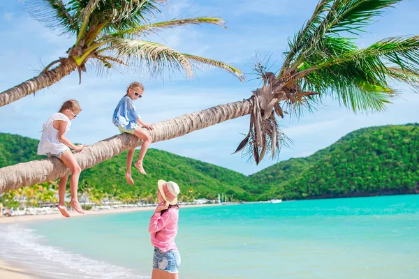 Молодая семья на отдыхе весело провести время на пальмовом дереве — стоковое фото