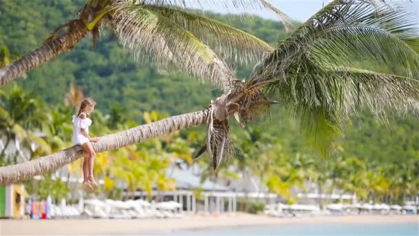 Rozkošné holčičky sedící na Palmu během letních prázdnin na bílé pláži — Stock video