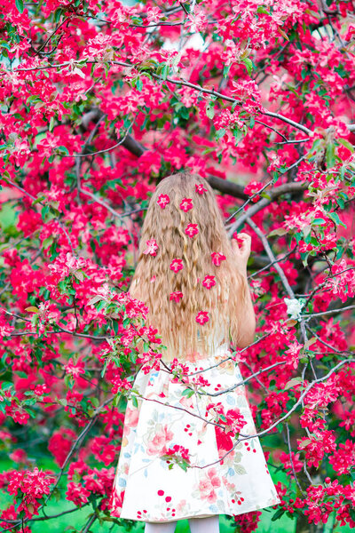 Adorable little girl in blooming apple garden on beautiful spring day. Back view of beautiful long hair girl with bloooming tree