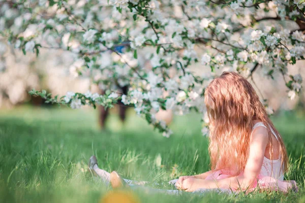 Adorabile bambina nel giardino di ciliegi in fiore il giorno di primavera — Foto Stock