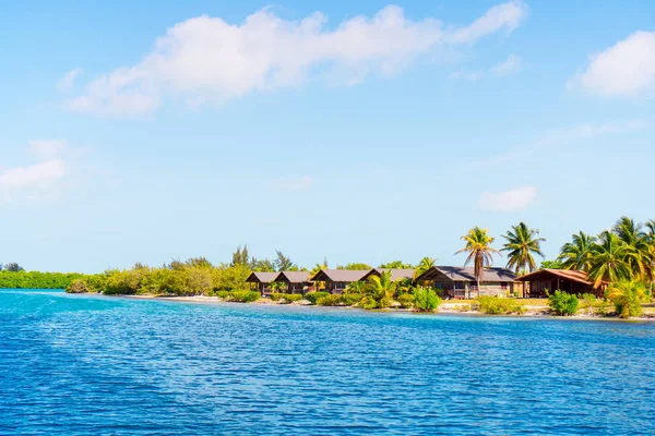 Plage tropicale idyllique avec sable blanc, eau de mer turquoise et grands palmiers — Photo