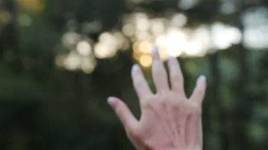 Araba penceresinden kadın eli