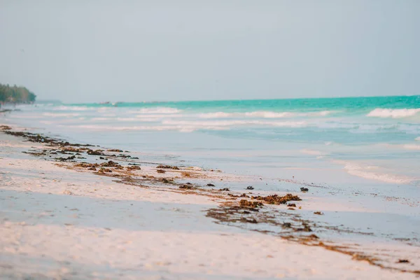 Playa tropical idílica en el Caribe con arena blanca, agua de mar turquesa y cielo azul —  Fotos de Stock