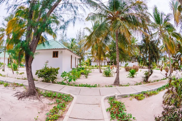 Oteldeki beyaz kumsalda palmiye ağaçları — Stok fotoğraf