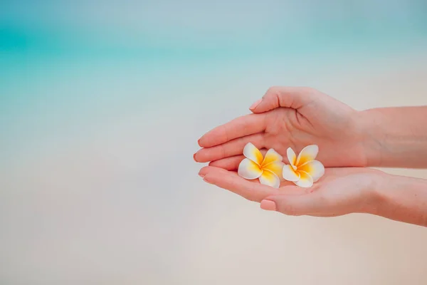 Güzel frangipani çiçekleri ellerinde. Beyaz sahilde turkuaz deniz. — Stok fotoğraf