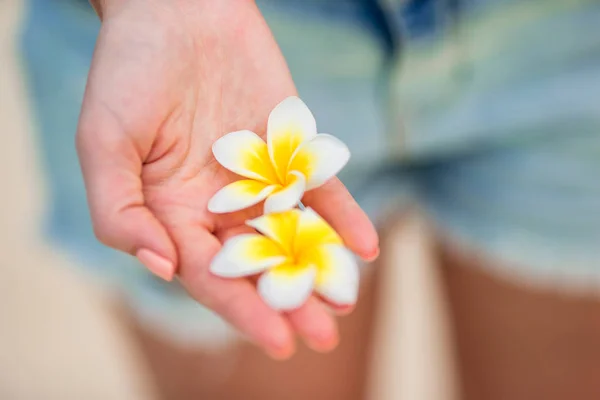 Krásné frangipani květiny v rukou pozadí tyrkysové moře na bílé pláži — Stock fotografie