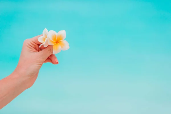Bellissimi fiori frangipani in mani sfondo mare turchese sulla spiaggia bianca — Foto Stock