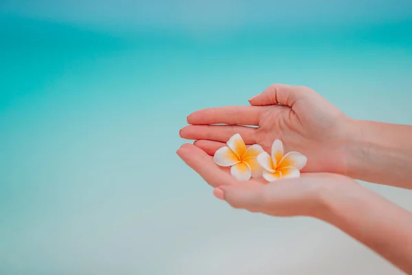 Krásné frangipani květiny v rukou pozadí tyrkysové moře na bílé pláži — Stock fotografie