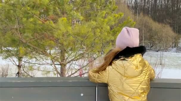 Adorável menina patinando na pista de gelo — Vídeo de Stock