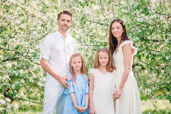 Adorável família no jardim florescendo cereja no belo dia de primavera — Fotografia de Stock