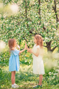 Bahar günü çiçek açan elma bahçesinde sevimli küçük kızlar.