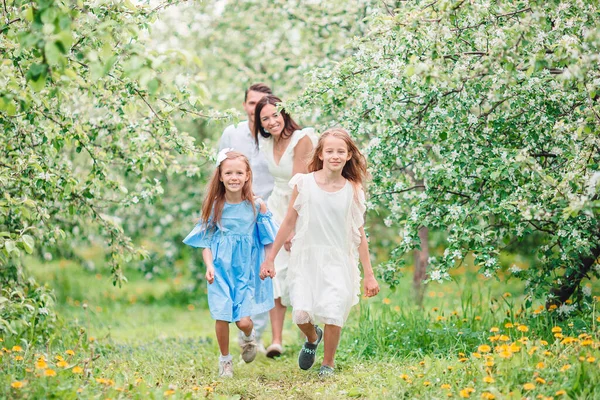 Adorável família no jardim florescendo cereja no belo dia de primavera — Fotografia de Stock