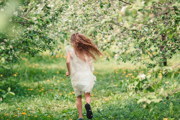 Αξιολάτρευτο κοριτσάκι στον ανθισμένο κήπο με μήλα την όμορφη ανοιξιάτικη μέρα — Φωτογραφία Αρχείου