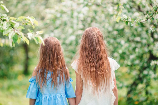 Adorables niñas en el jardín de manzanos en flor en el día de primavera —  Fotos de Stock