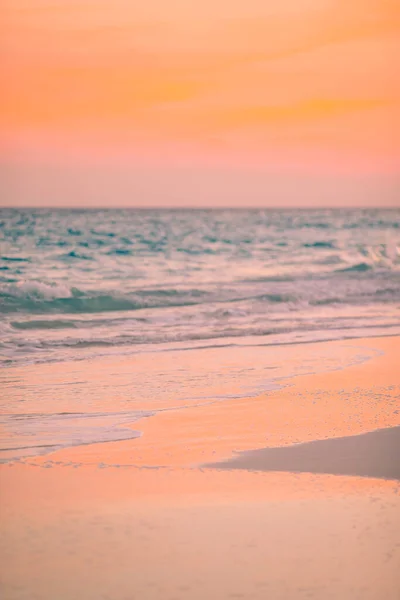 Increíble hermosa puesta de sol en una playa caribeña exótica —  Fotos de Stock