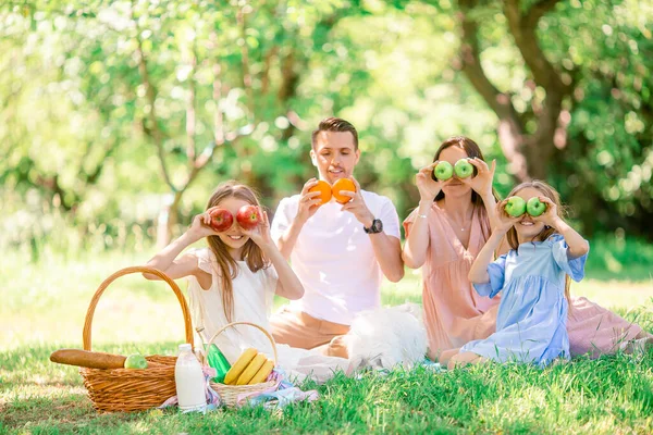 Familia feliz en un picnic en el parque en un día soleado — Foto de Stock