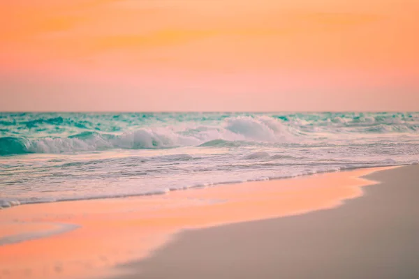 Increíble hermosa puesta de sol en una playa caribeña exótica —  Fotos de Stock