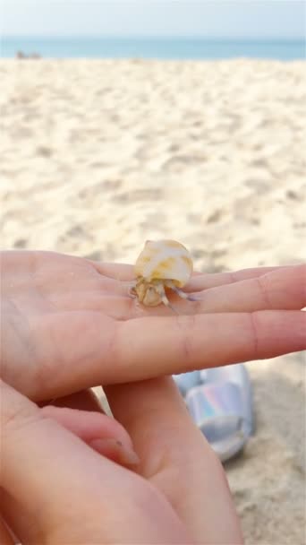 Close up fundo caranguejo branco ao vivo o mar e praia — Vídeo de Stock