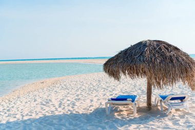 Pastoral tropikal plaj beyaz kum, turkuaz okyanus su ve büyük palmiye ağaçları ile