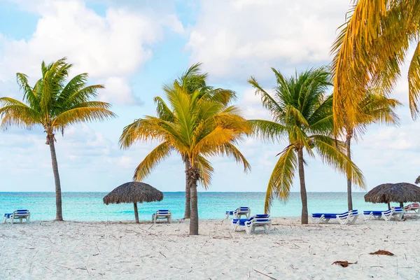 Playa tropical idílica con arena blanca, agua de mar turquesa y grandes palmeras — Foto de Stock