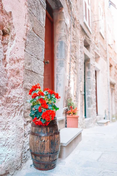 Typical houses in small town in Liguria — Stock Photo, Image