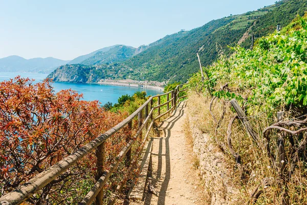 Дорога з азурним покриттям є найпростішою, найвідомішою і найбільш відвідуваною стежкою в усій Cinque Terre — стокове фото