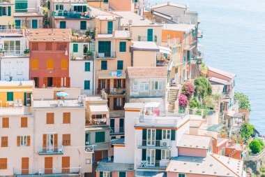 Cinque Terre Reserve 'deki Manarola köyünün muhteşem manzarası..