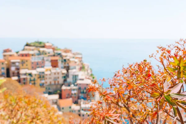 Splendida vista sul bellissimo borgo di Manarola nella Riserva delle Cinque Terre . — Foto Stock