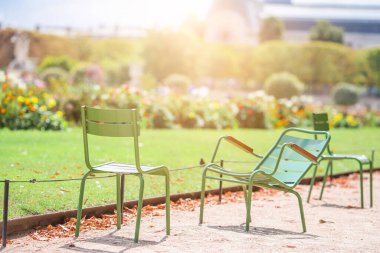 Paris, Fransa 'daki Tuileries bahçesinde geleneksel yeşil sandalyeler