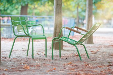 Paris, Fransa 'daki Tuileries bahçesinde geleneksel yeşil sandalyeler