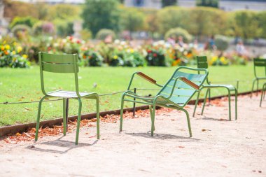 Paris, Fransa 'daki Tuileries bahçesinde geleneksel yeşil sandalyeler