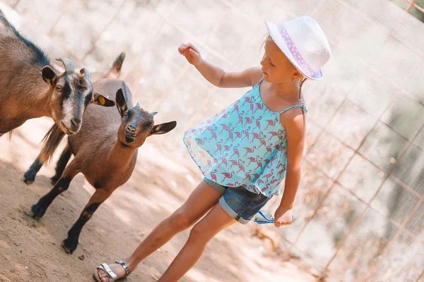 Menina no zoológico com um pequeno bode bonito — Fotografia de Stock