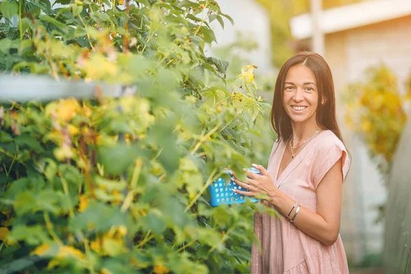 Schöne junge Frau bei der Gartenarbeit im Gewächshaus — Stockfoto