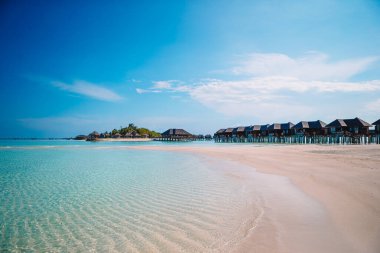 Palmiye ağaçları ve karamsar gökyüzü olan güzel bir sahil. Yaz tatili tatil geçmişi kavramı. Maldivler Cennet Sahili.